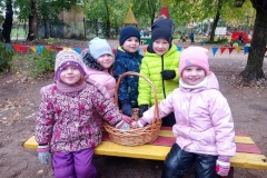 33 садика и школы Калининского района в 2023 году собрали более тонны желудей