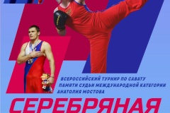 В Северной столице состоится Всероссийский турнир по савату «Серебряная перчатка»