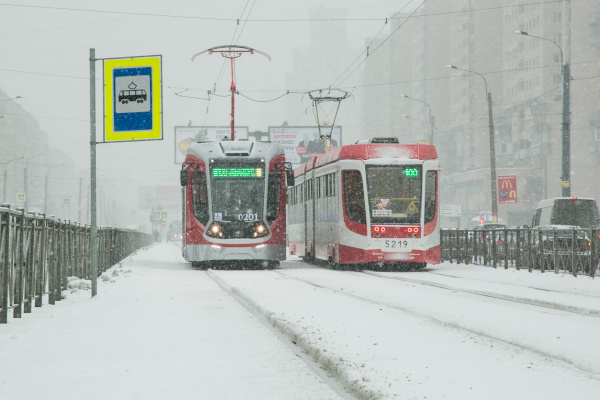 На маршрут на севере города вышли трамваи «Витязь-М» и «Богатырь»