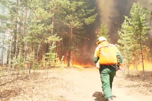 Берегите лес