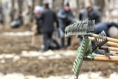 День благоустройства в районе