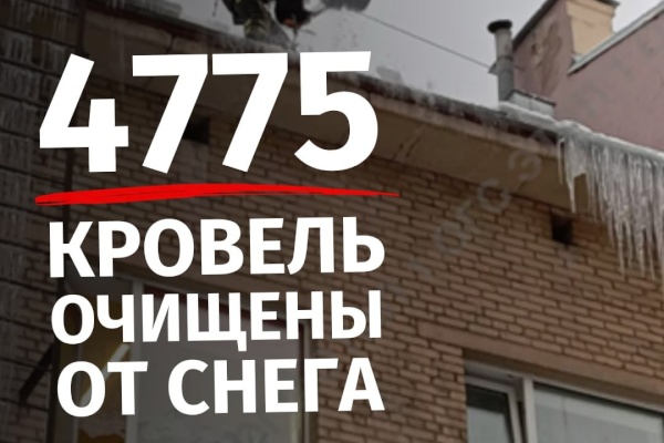 В Санкт‑Петербурге завершена очистка от снега крыш социально значимых объектов