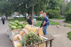 За несколько дней ежедневных рейдов от незаконных объектов уличной торговли освобождено около 40 земельных участков