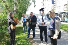 Владельцы собак привлечены к ответственности за нарушение правил выгула домашних животных