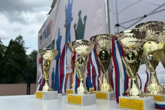 В Михайловском саду прошёл турнир по шахматам
