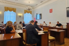 Комиссия по землепользованию и застройке Санкт‑Петербурга рассмотрела предложения в отношении Московского и Приморского районов