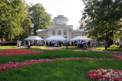 В Доме Струкова до начала реставрации пройдут культурные мероприятия