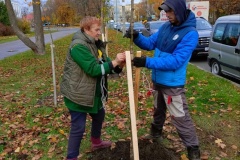 В Сестрорецке состоялась акция по озеленению
