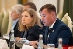 Глава Невского района Алексей Гульчук на заседании Бюджетно-финансового комитета представил потребность в дополнительных бюджетных ассигнованиях