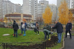 В школе № 492 в субботник высадили деревья