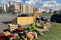 Специалисты Комитета устранили незаконную торговлю под прицелами телекамер