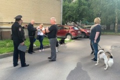 На Васильевском острове проверили соблюдение правил выгула собак