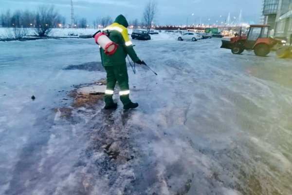 Почти 1,5 тонны опасных отходов собрано экологами за неделю