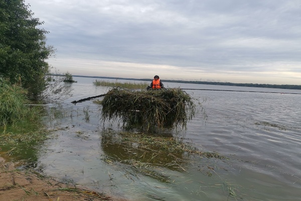 Акваторию Сестрорецкого Разлива очистили от водной растительности