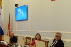 Состоялось заседание Комиссии по правам человека Санкт‑Петербурга