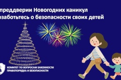 Уважаемые Петербуржцы! В преддверии Новогодних каникул позаботьтесь о безопасности своих детей!