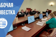 В Петродворцовом районе внедряют проекты программы «Эффективный регион»