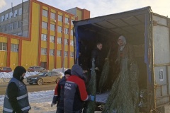 Комитет по контролю за имуществом Санкт‑Петербурга проверит законность размещения ёлочных базаров в Петербурге
