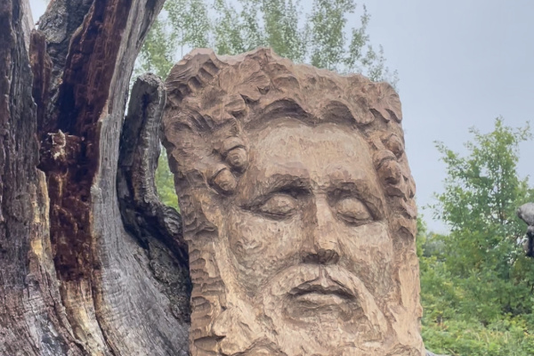 Первый детский экомаршрут открыли в Петербурге