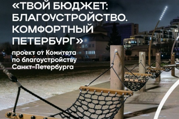 «Твой бюджет» стартует в Петроградском районе с февраля