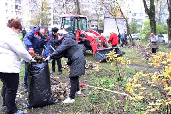 День благоустройства в Купчино 24.10.2015