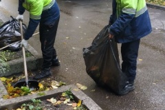 Коммунальные службы Невского района Санкт‑Петербурга выполняют работы в рамках осеннего месячника по благоустройству