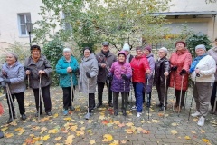 «Спорт – норма жизни»: в Центральном районе для представителей серебряного возраста прошло занятие по скандинавской ходьбе