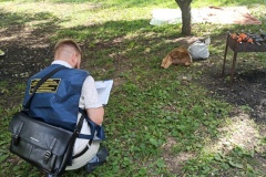 Семь протоколов и более 15 профилактических бесед:  в парках города снова жгут костры и нарушают правила выгула собак