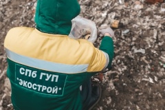 Экологические аварийные службы продолжают работу в режиме повышенной готовности