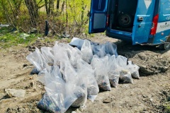Более 6,7 тонн опасных отходов собрано экологическими службами за неделю