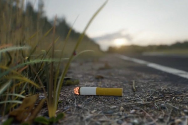 Останови огонь: брошенные окурки (15 сек.)