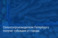 Александр Беглов: Город поможет обеспечить финансовую устойчивость петербургских сельхозпроизводителей