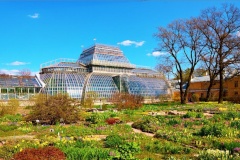 Сотрудники Комитета по науке и высшей школе проведут субботник в Ботаническом саду