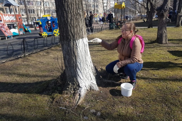 Во Фрунзенском районе начался День благоустройства