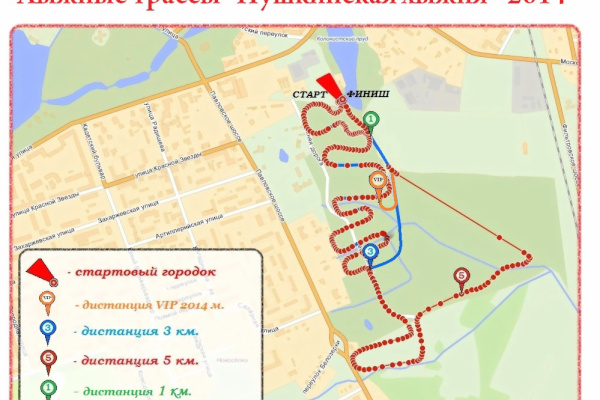 Пушкинская лыжня