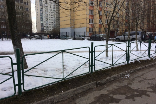 В лицее № 344 Невского района прошел субботник в рамках месячника по благоустройству 
