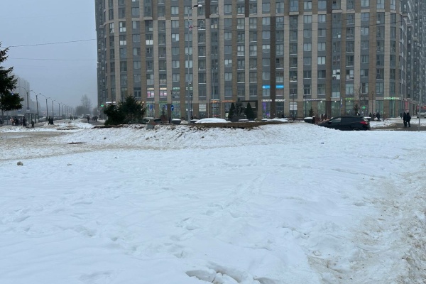 Голосование за выбор нового общественного пространства в Выборгском районе Санкт‑Петербурга