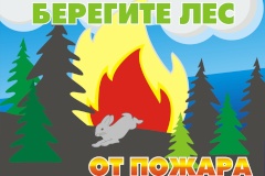Правила пожарной безопасности при посещении парковой зоны и городских лесов Санкт‑Петербурга