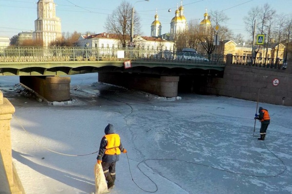 Более тонны опасных отходов собрали экологические службы за неделю
