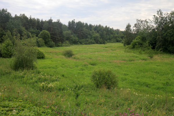 В Петродворцовом районе Петербурга появился новый заказник