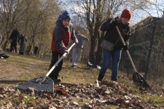 «Добрый субботник» прошел в Выборгском районе