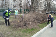 Территорию фрунзенских школ активно очищают от мусора
