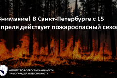 В Санкт‑Петербурге начал действовать пожароопасный сезон