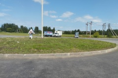 Борьба с борщевиком в Выборгском районе Санкт‑Петербурга