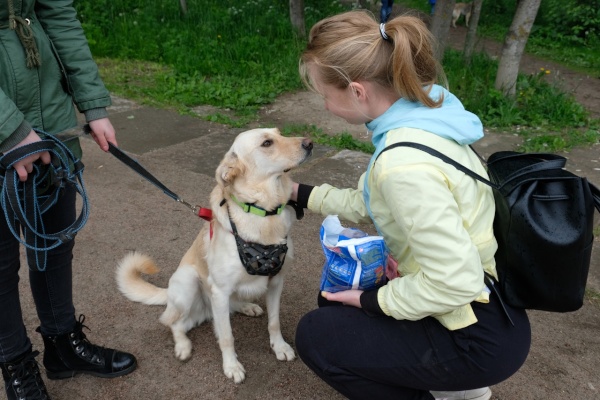 Ребята из Фрунзенского района посетили приют бездомных животных «Полянка»