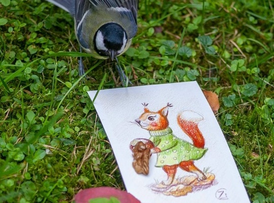 Белки с Елагина острова стали источником вдохновения для конкурса открыток «Рисуй Питер»