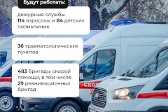 Как будет организована медицинская помощь во время новогодних праздников