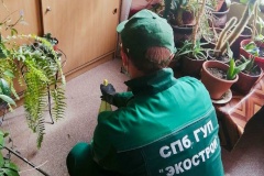 Более двух тонн опасных отходов собрали экологические службы за неделю