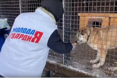 Молодёжь фрунзенского района навестила приют «Верный друг»