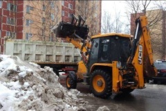 #чистоПетродворцовый: хроника зимней уборки